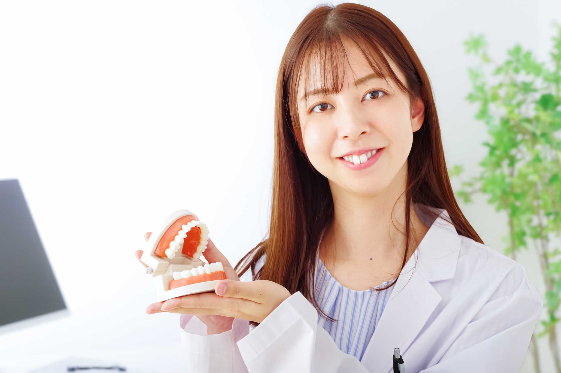歯の模型と女性