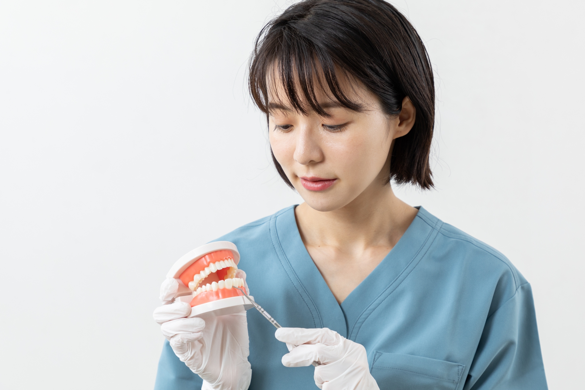 歯の模型を持つ女性