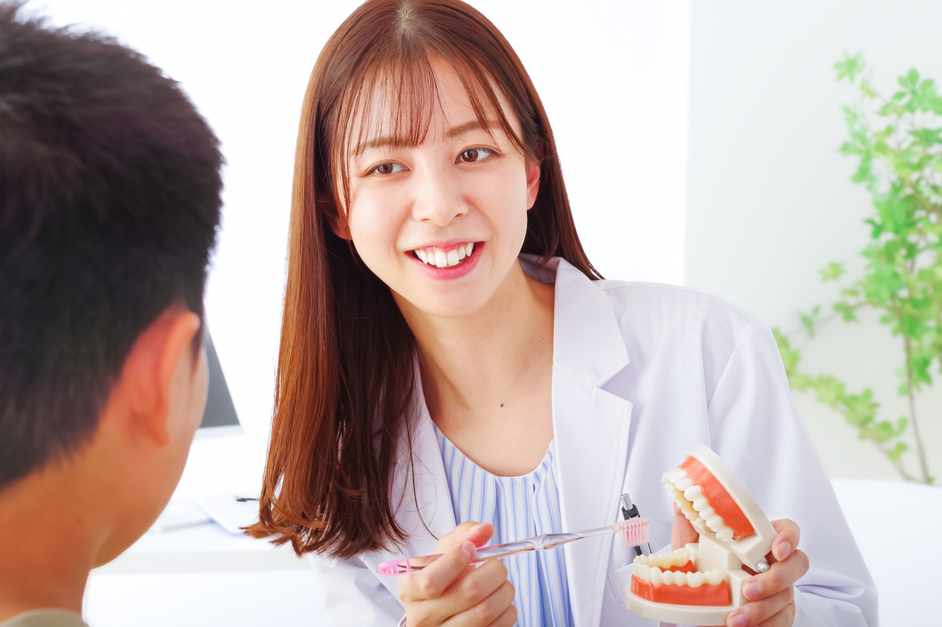 歯の模型と歯科医師